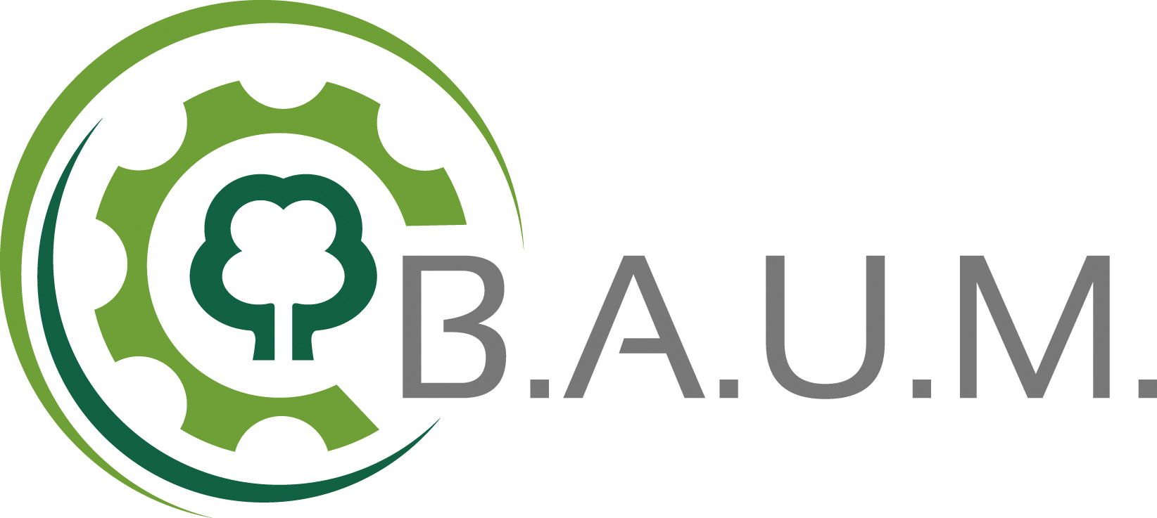 BAUM_logo.transparent - Bundespräsident a.D. Prof. Dr. Horst Köhler